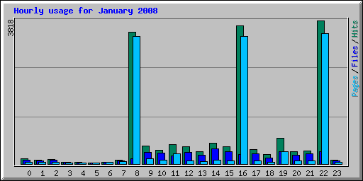 Hourly usage for January 2008